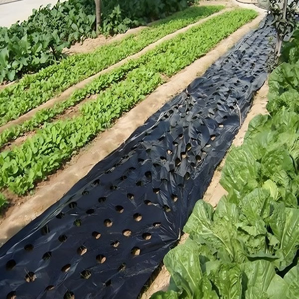 Bariera anti-buruieni grădină (0,95x10m)